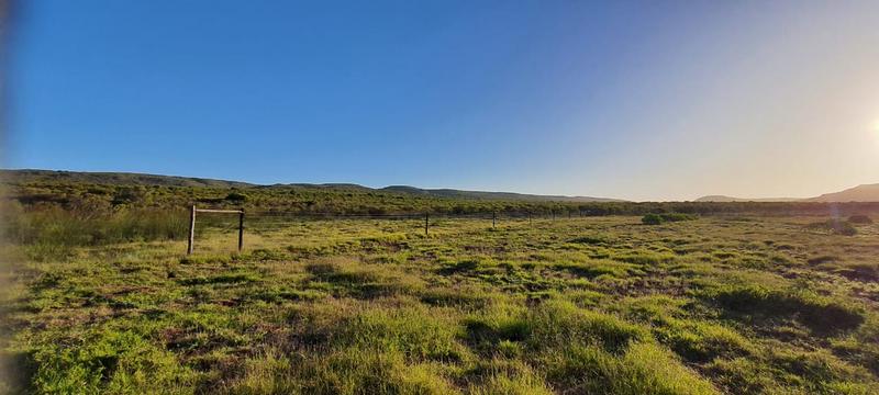 0 Bedroom Property for Sale in Albertinia Western Cape